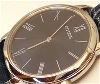 Orologio Citizen Donna 0.45 in Acciaio EG600015L - EG600015L